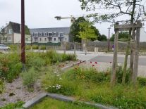 Moelan-Lindelfels-parking paysager et logements2.JPG